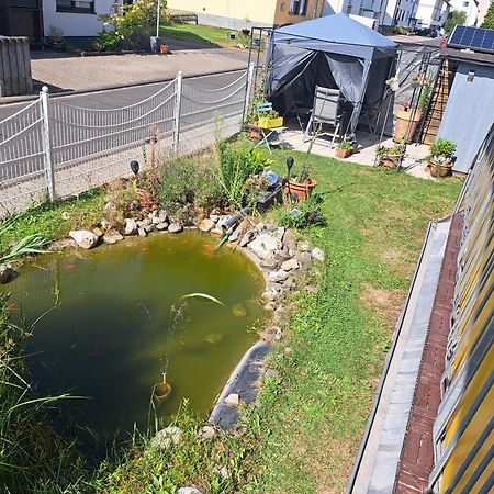 Ferienwohnung Hilgert Sankt Sebastian Екстериор снимка
